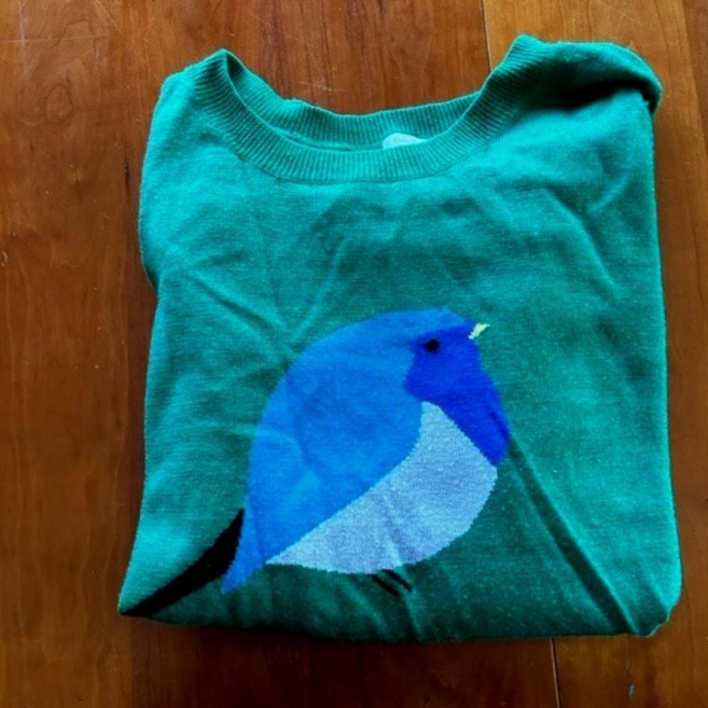 Garnet hill long sleeve bird sweater